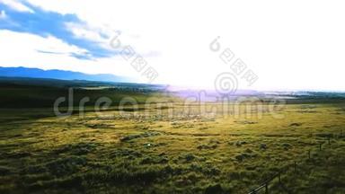 在壮丽的和平草原之上左转，绿色的平原草原景观与惊人的蓝色阳光天空。